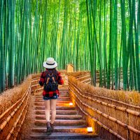 Arashiyama -La zona oeste de Kioto-