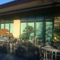 El bonsai y los jardines japonesas en Japón