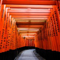 Santuario Fushimi Inari Taisha