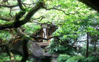 Yanaka