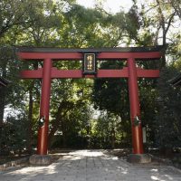 El precioso santuario Nezu en Tokio