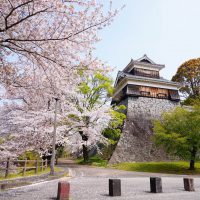 El castillo de Kumamoto