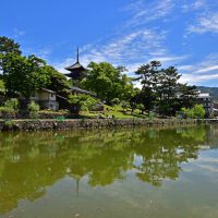 El templo Kofukuji – Kofukuji –