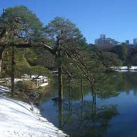 La nieve en invierno, Tokio
