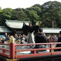 Gran Fiesta de Otono en Meiji Jingu