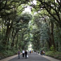 Santuario Meiji Jingu