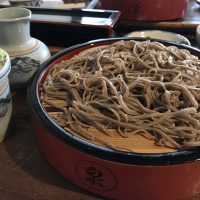 Soba y Udon