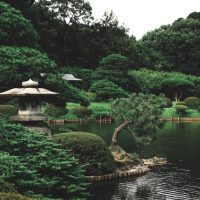 Parque nacional Shinjuku Gyoen