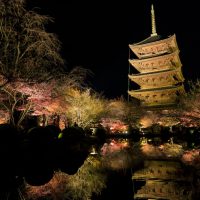 Sobre el Japón