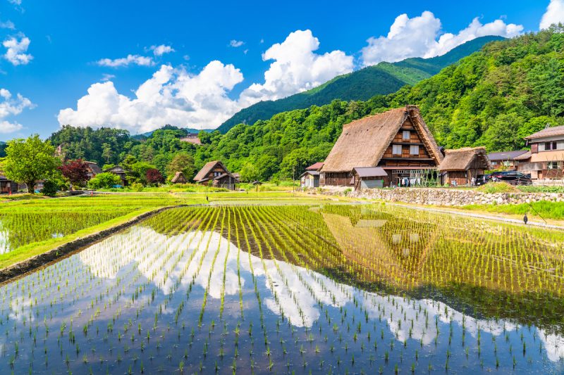Shirakawago