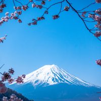 La primavera en Japón (Haru)