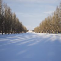 El Invierno en Japón (Fuyu)