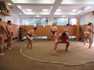 establo de sumo