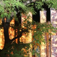 Video en Kioto: Kinkakuji, bosque de kimonos y Gion