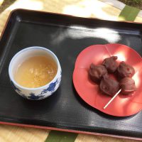 Wagashi : dulces japoneses