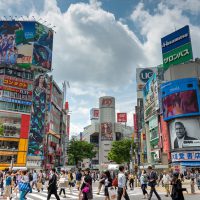 Shibuya | Guía de Tokio