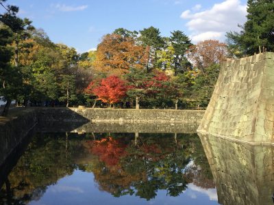 jardin japones en otoño