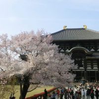 Templo Todaiji y los ciervos