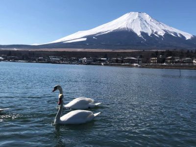 mt fuji en invierno