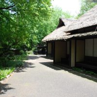 Parque temático histórico Mikazukimura | ¡Viaje en el tiempo al periodo Edo!