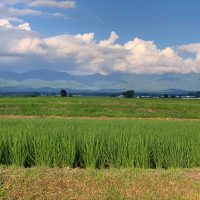 Preguntas más frecuentes sobre viaje a Japón