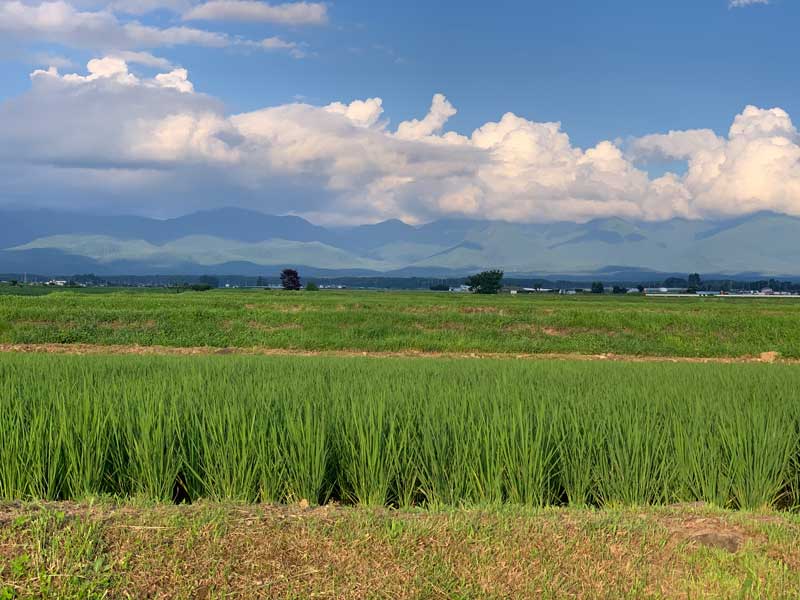 paisaje de japon