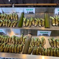 Wasabi