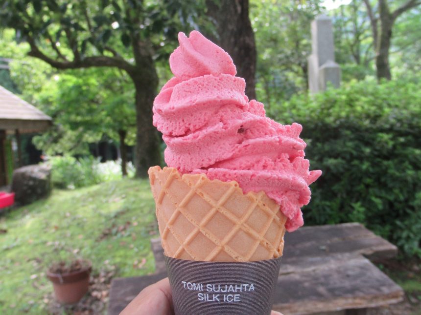 helado de ciruela