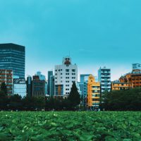 El parque Ueno en Tokio